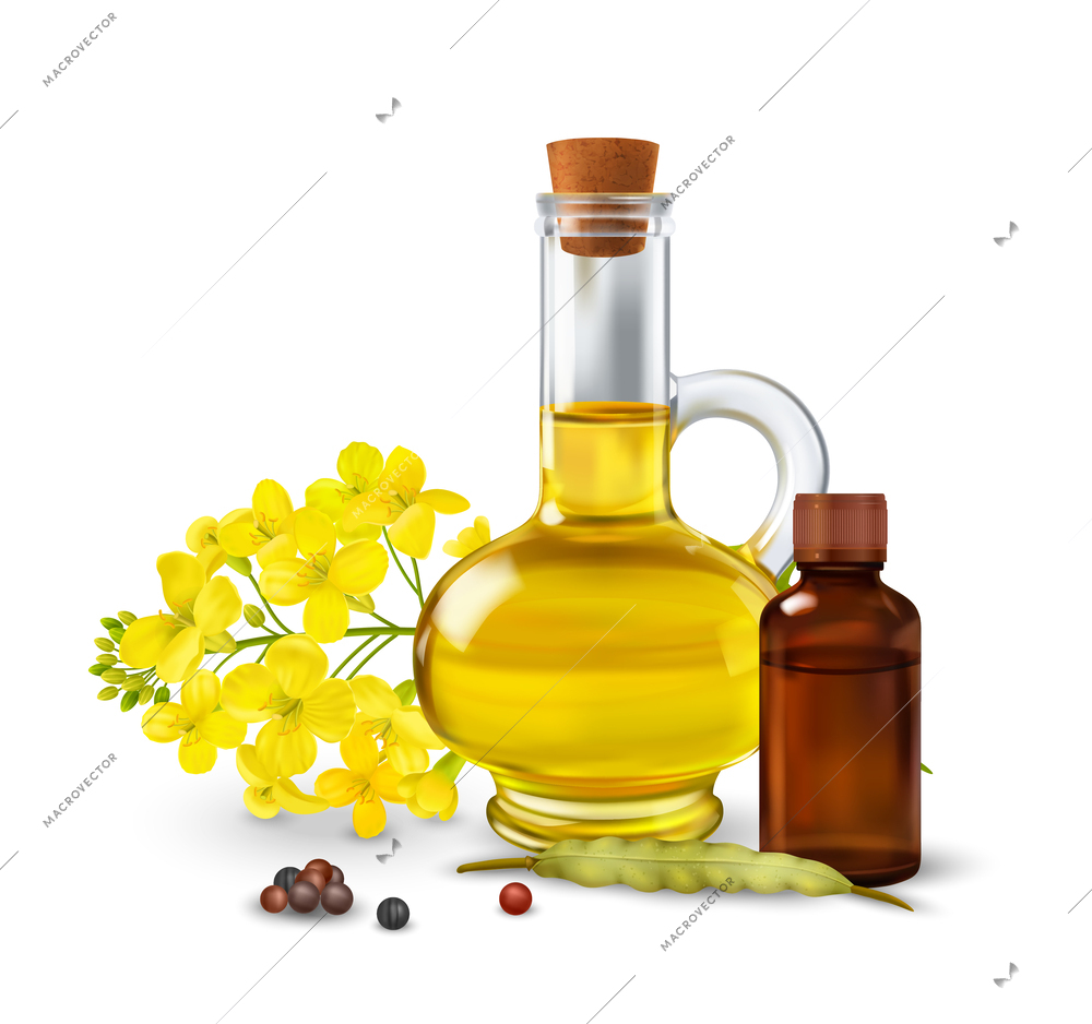 Rape canola concept with oilseed production symbols realistic vector illustration