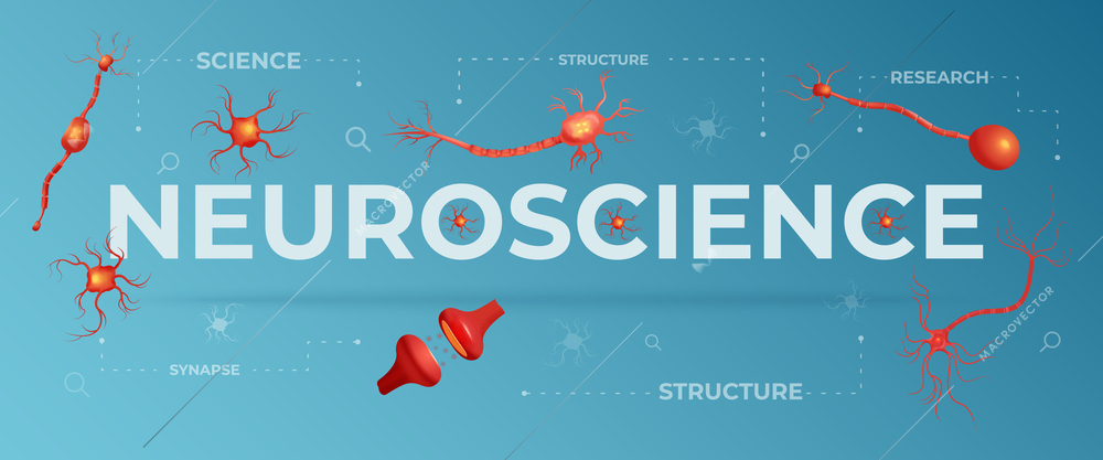 Neuroscience flat background with coloured neurons and neural structures vector illustration