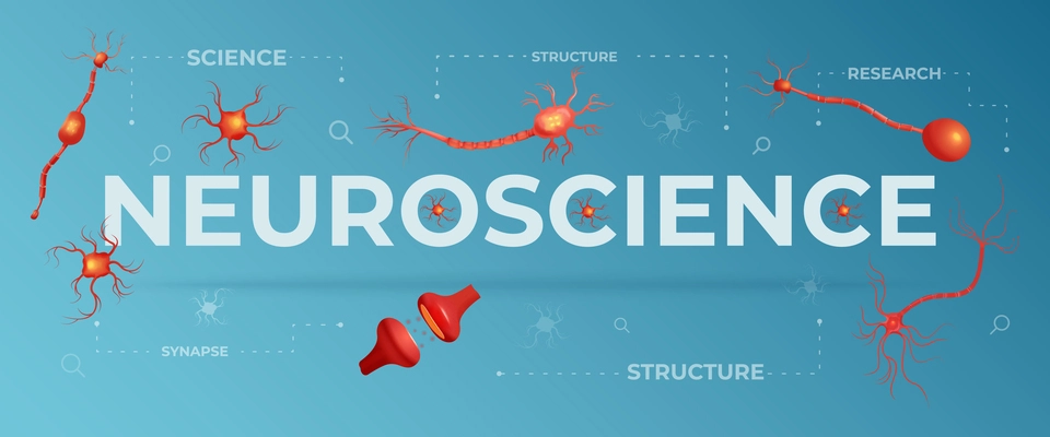 Neuroscience flat background with coloured neurons and neural structures vector illustration