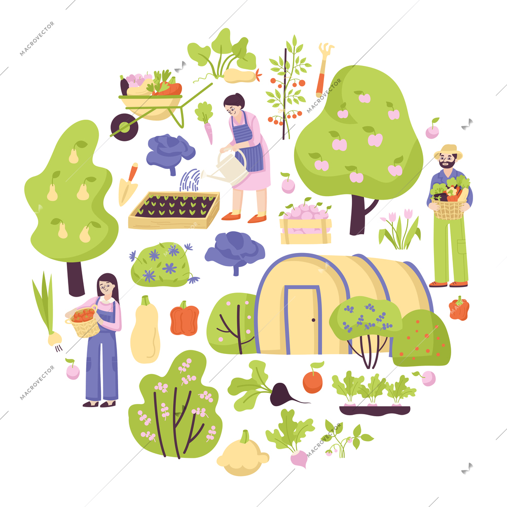 Colored garden composition with green trees bushes beds ripe crops and fruits vector illustration