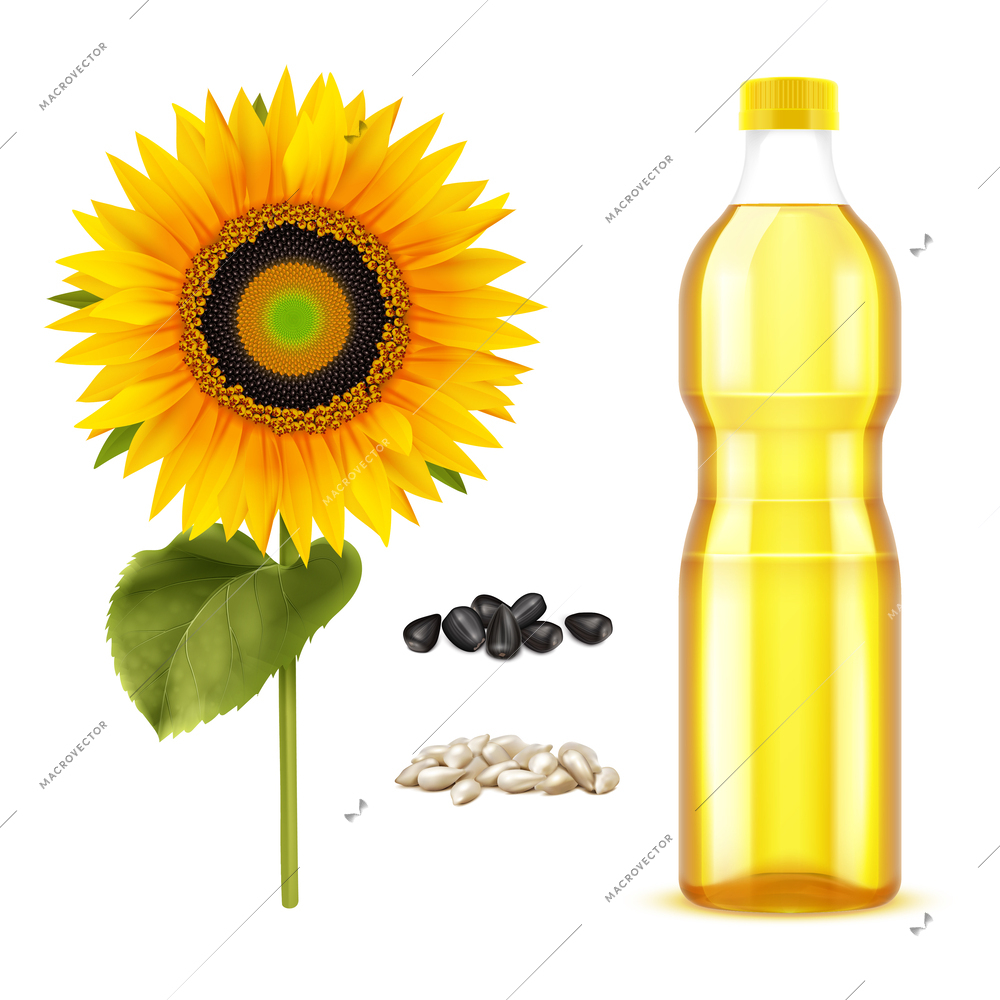 Sunflower oil for cooking realistic concept with yellow flower seeds and oil in plastic bottle isolated vector illustration