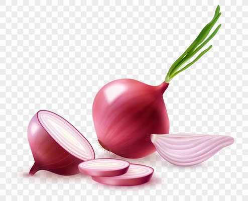 Realistic red onion composition with fresh slices and unpeeled bulb with green sprouts on transparent background vector illustration