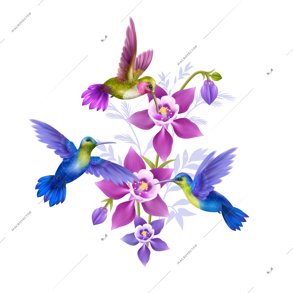 Flying hummingbird realistic concept with beautiful flora symbols vector illustration