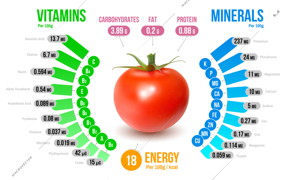 Tomato nutrients infographics diagram representing vitamins minerals carbohydrates fats protein energy realistic vector illustration