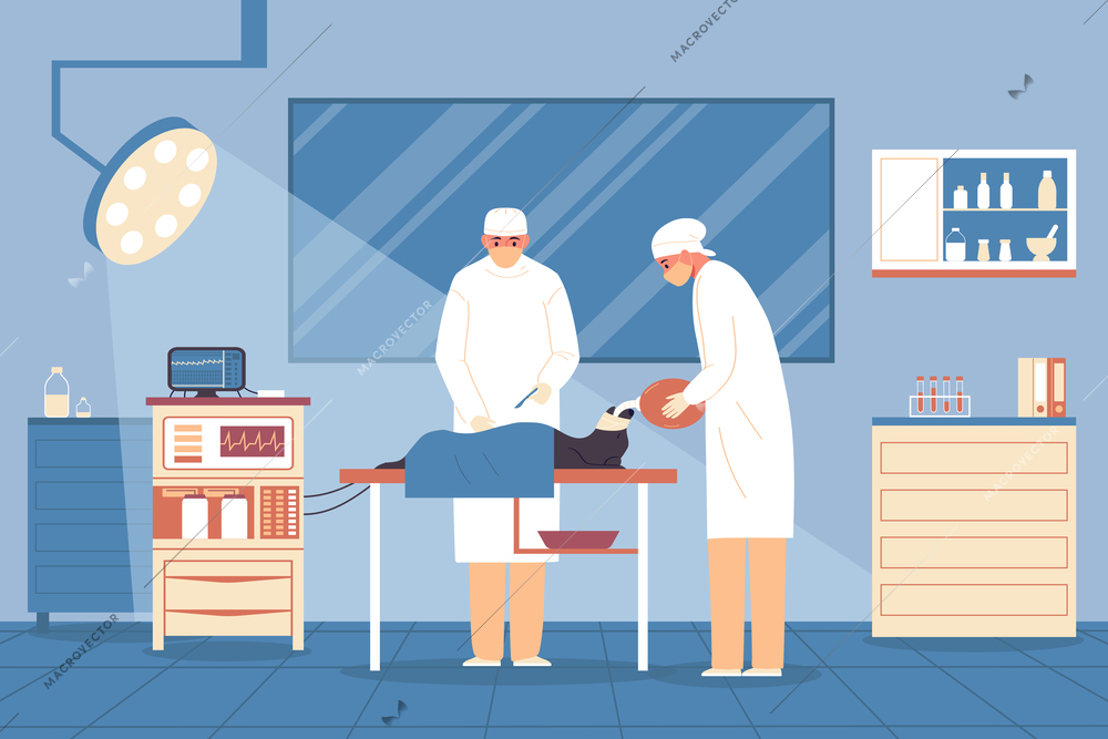 Veterinary flat color background with pet doctors in white coats working with sick animal in operating room vector illustration