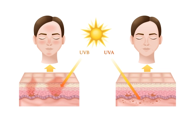 Realistic infographics showing how uvb and uva sun radiation types affect skin with anatomy of its layers and female faces vector illustration