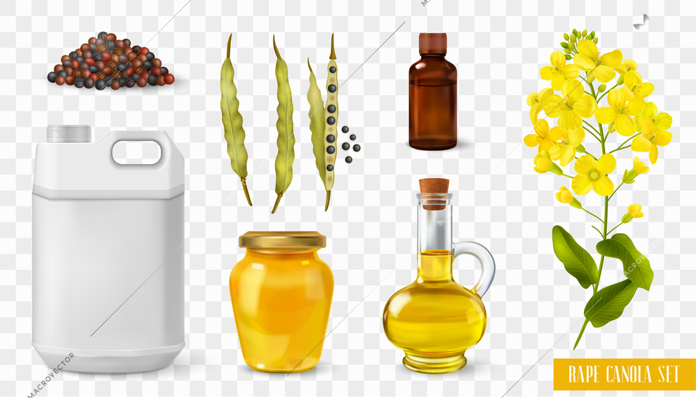 Rape canola transparent set with manufacture symbols realistic isolated vector illustration