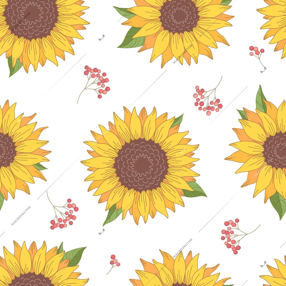 Cartoon seamless pattern with top view sunflowers and berries on white background vector illustration