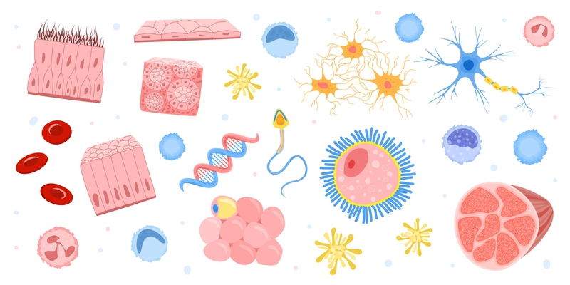 Human cells flat set of isolated icons with colorful images of microorganisms and internal bacteria shapes vector illustration