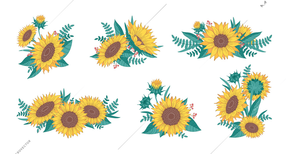 Cartoon set of sunflowers with green leaves berries and twigs isolated against white background vector illustration