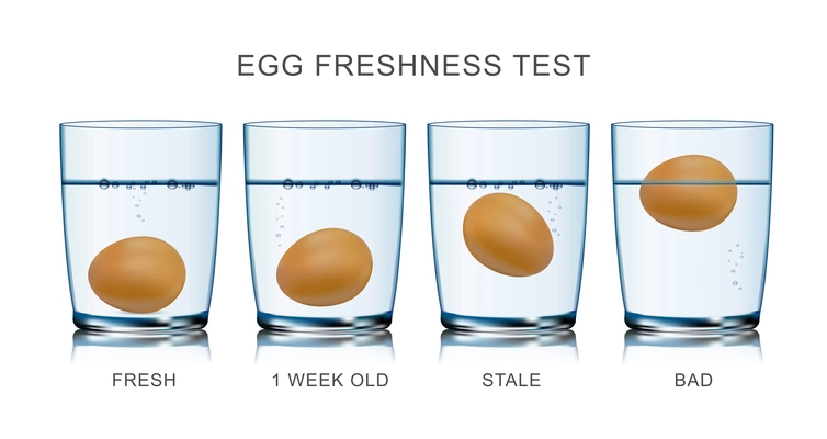 Egg freshness test realistic infographics with fresh and bad product in glasses with water isolated vector illustration