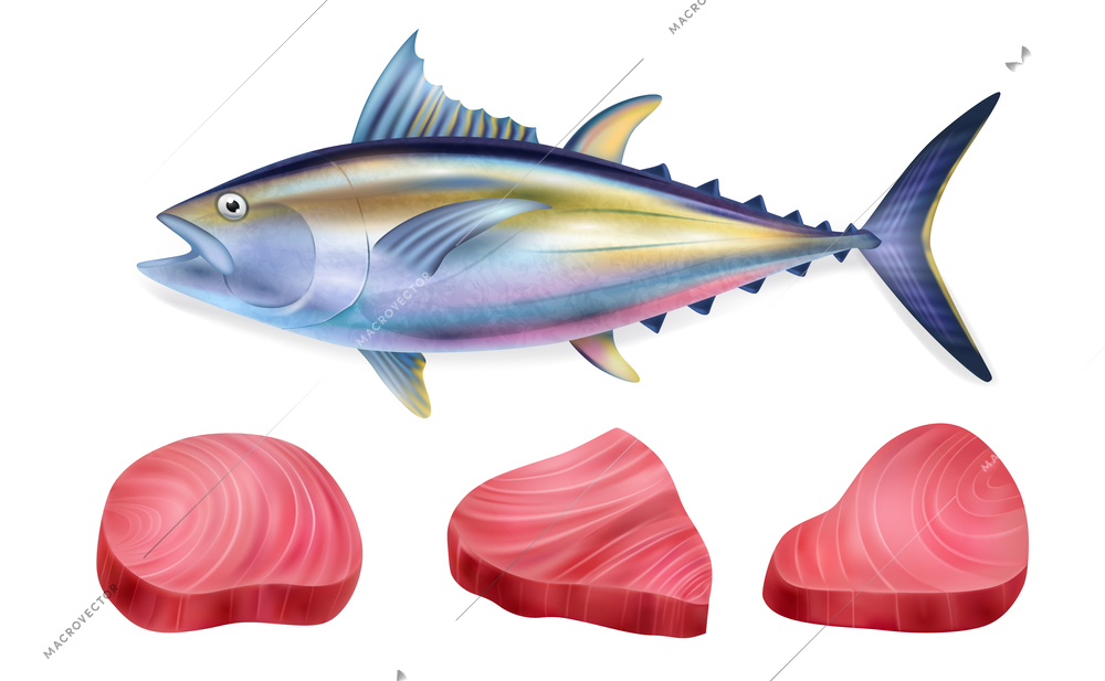 Realistic tuna fish steak icon set fish carcass and three raw steaks from different parts of the fish vector illustration