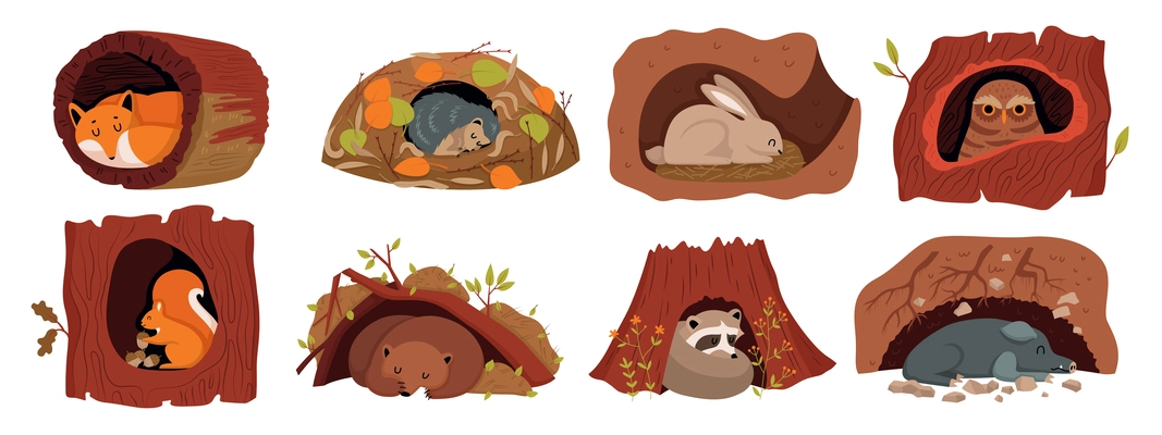 Forest animals tree hollow set with isolated views of wild animals hiding inside trunk of tree vector illustration