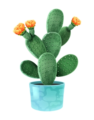 Blooming cacti realistic composition with cactus flower popular houseplant in colorful decorative pot vector illustration