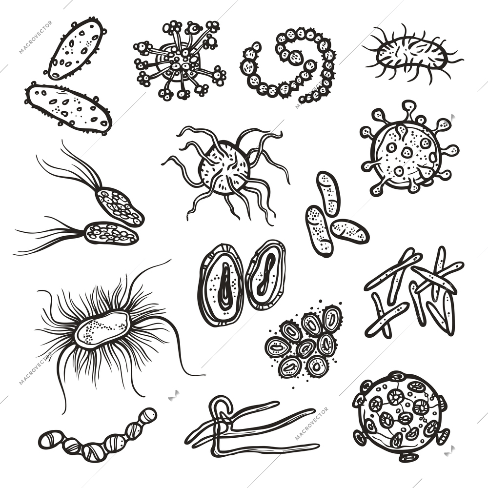 Bacteria and virus cell black sketch decorative icons set isolated vector illustration