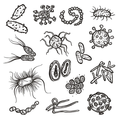 Bacteria and virus cell black sketch decorative icons set isolated vector illustration