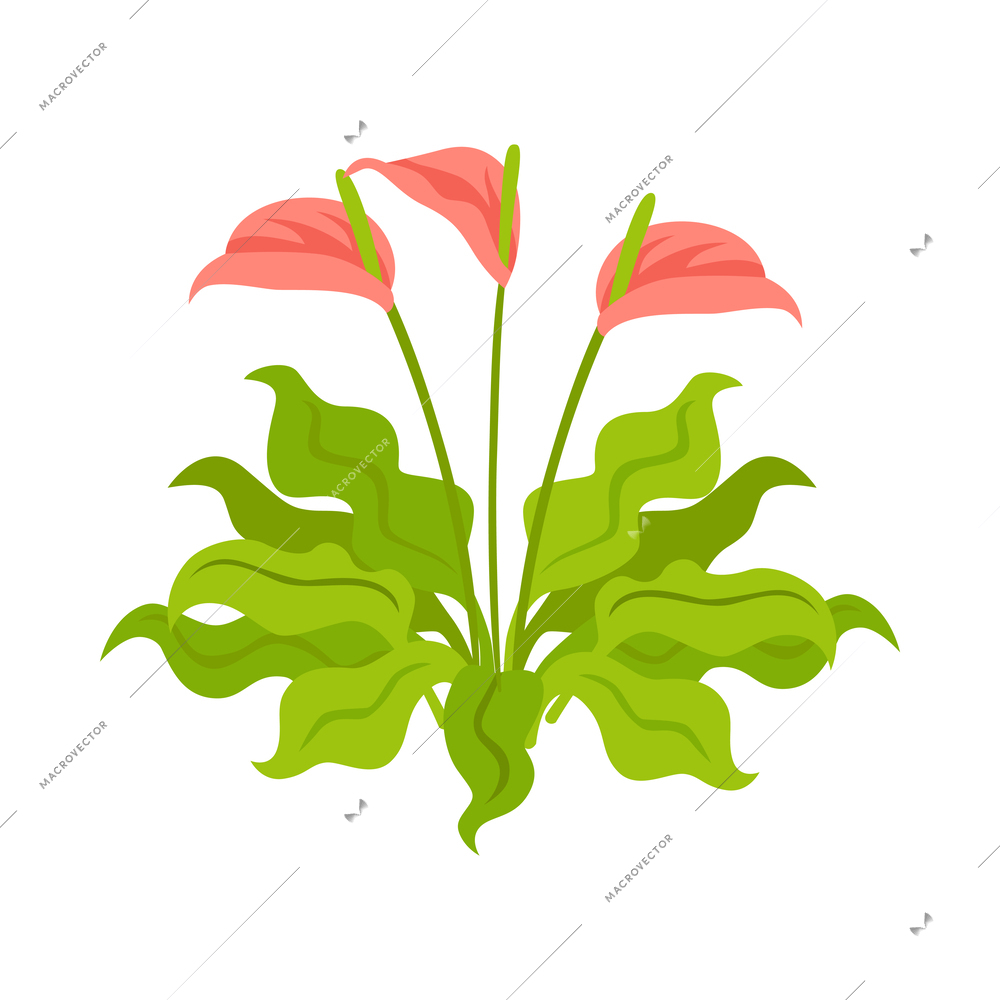 Isometric botanical garden greenhouse composition with isolated floral image on blank background vector illustration