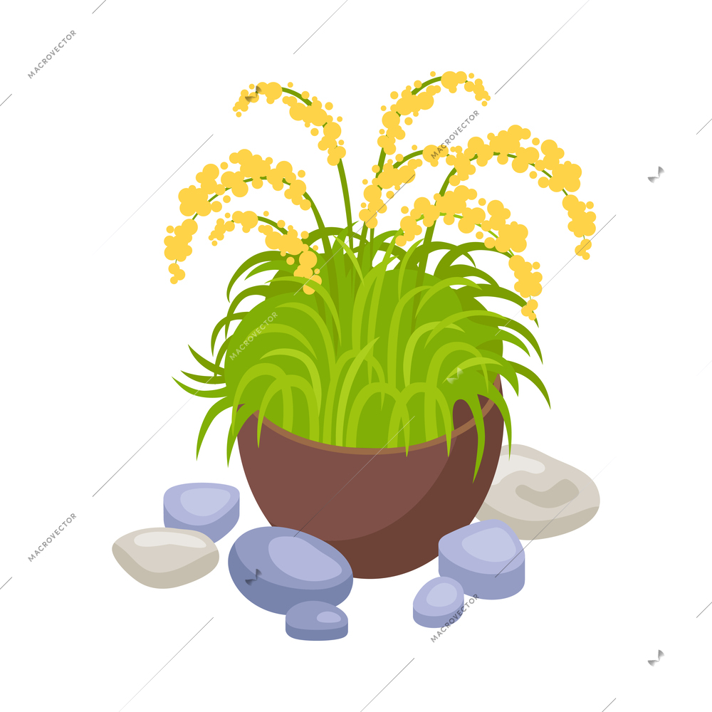 Isometric botanical garden greenhouse composition with isolated floral image on blank background vector illustration