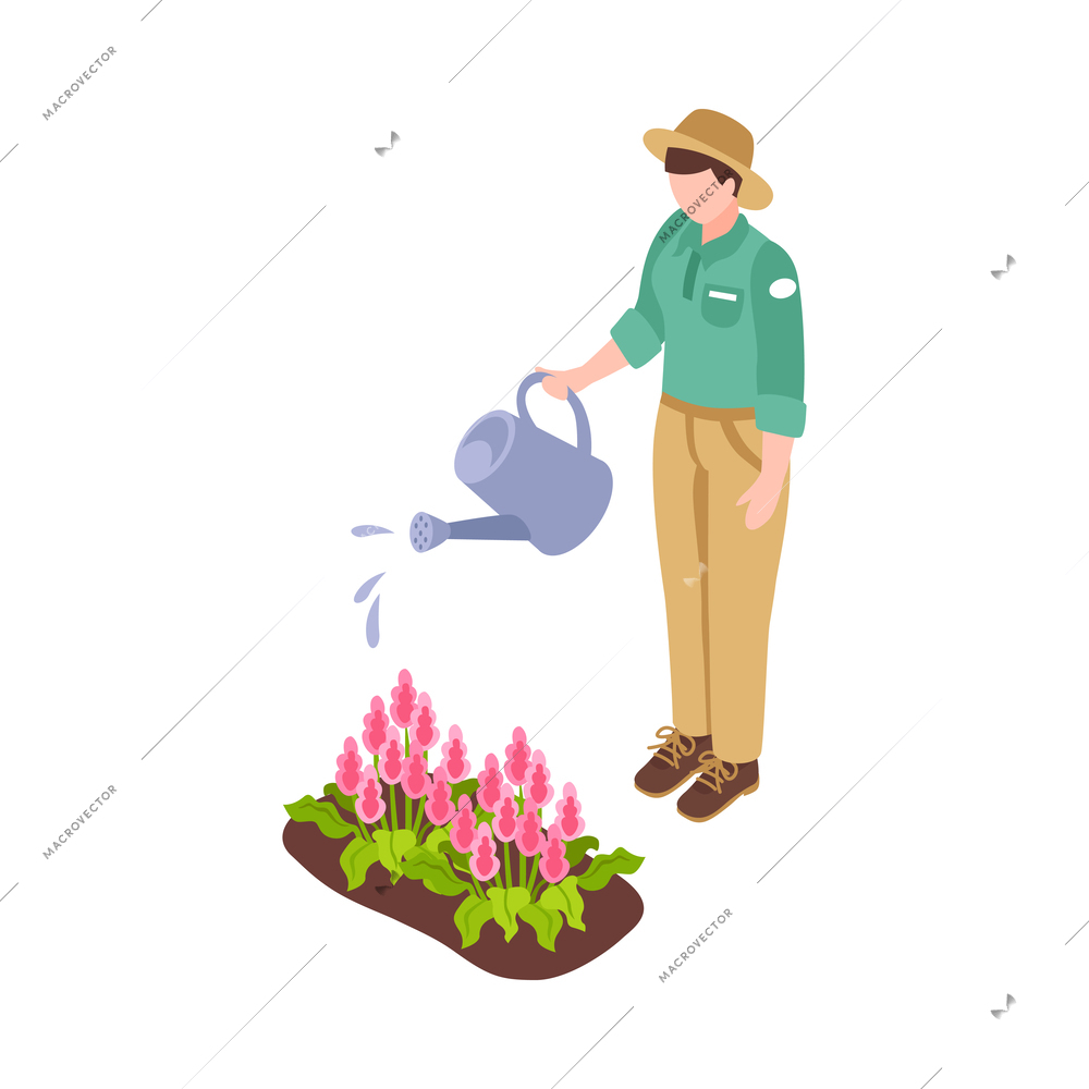 Isometric botanical garden greenhouse composition with isolated floral image on blank background vector illustration