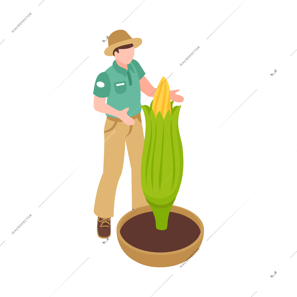 Isometric botanical garden greenhouse composition with isolated floral image on blank background vector illustration