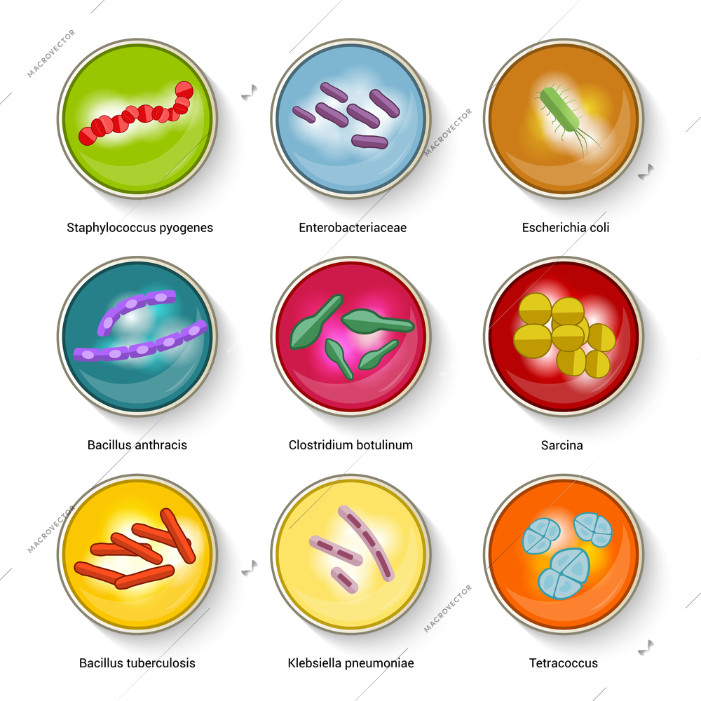 Bacteria virus bio-hazard microorganism allergens and microscopic cells icons set vector illustration