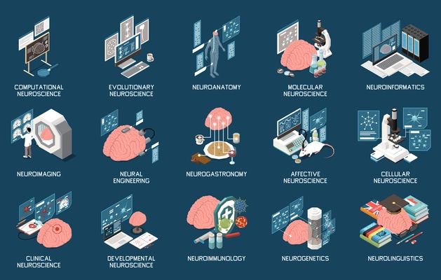 Neuroscience isometric set with neurogastronomy neuroinformatics neural engineering neuroanatomy neuroimaging isolated on color background 3d vector illustration