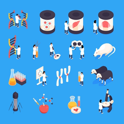 Isometric genetic engineering set with scientists and lab mouses isolated vector illustration