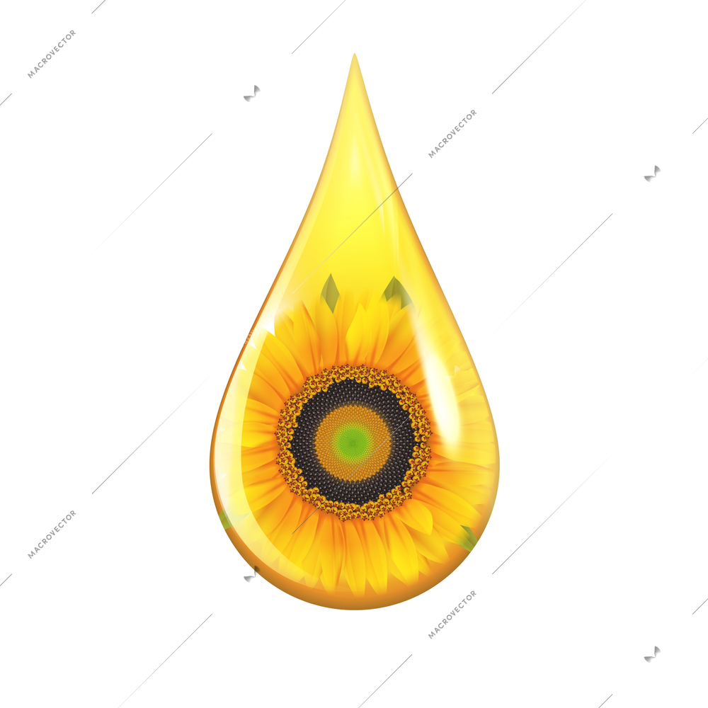 Yellow sunflower seed oil drop with sunflower image inside realistic design concept isolated on white background vector illustration