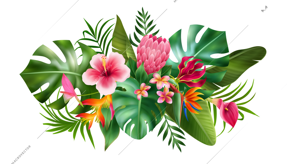 Realistic exotic flowers composition bouquet or composition of flowers and green leaves vector illustration