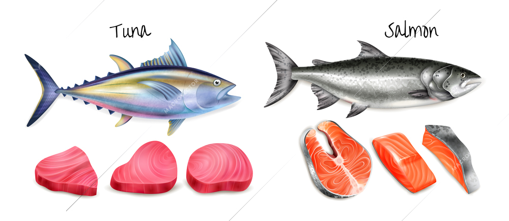 Realistic tuna salmon steak icon set whole carcasses of two kinds of fish and raw fish pieces vector illustration