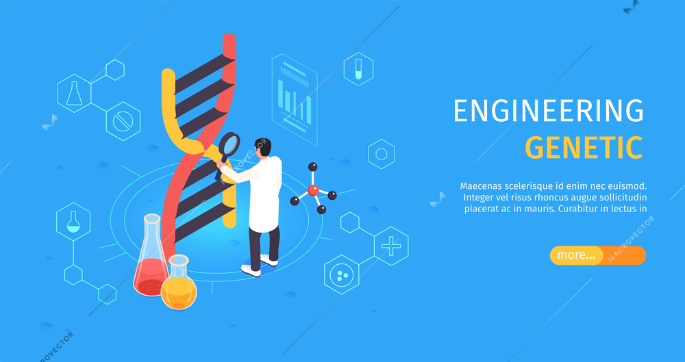 Isometric genetic engineering banner with scientist studying dna spiral vector illustration