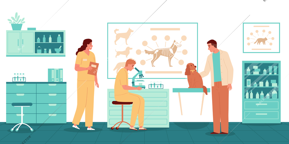 Veterinarian occupation flat background with man dog and pet doctors studying canine parasites under microscope in lab vector illustration