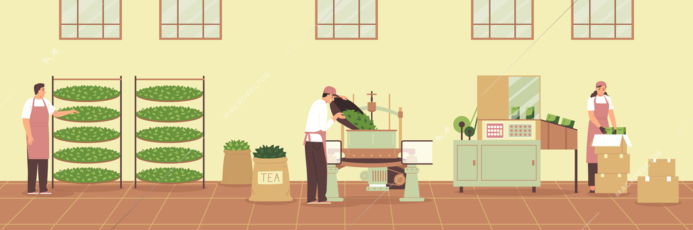 Tea production composition with factory workers packing harvested leaves vector illustration