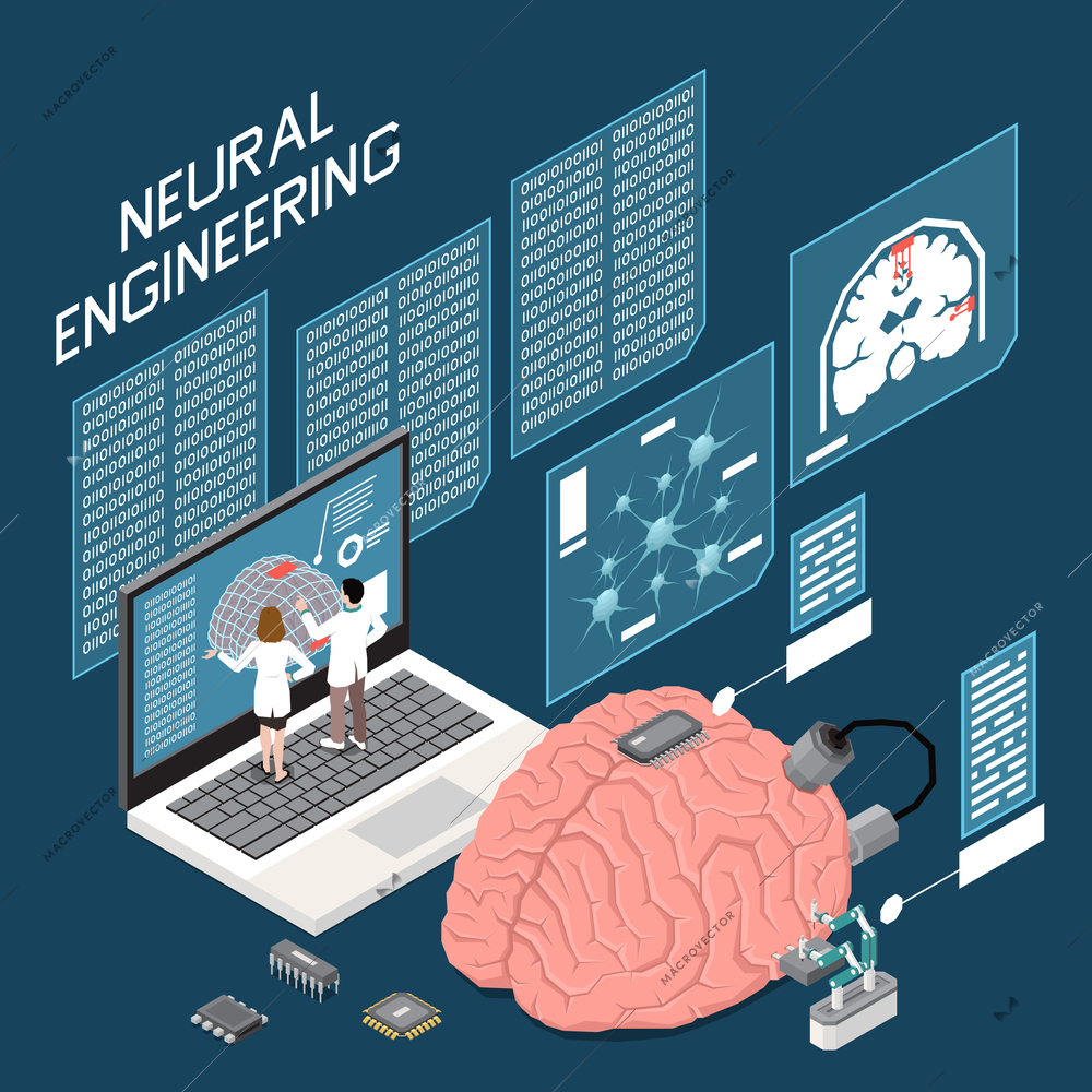 Neuroscience neural engineering isometric composition with computer engineers at work and brain model 3d vector illustration