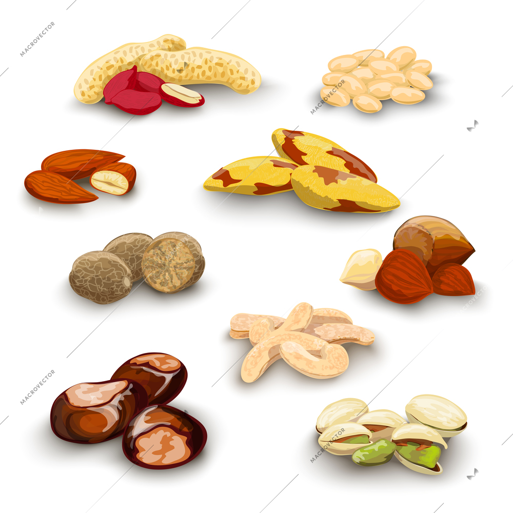 Nuts decorative icons set with peanut almond chestnut pistachio isolated vector illustration