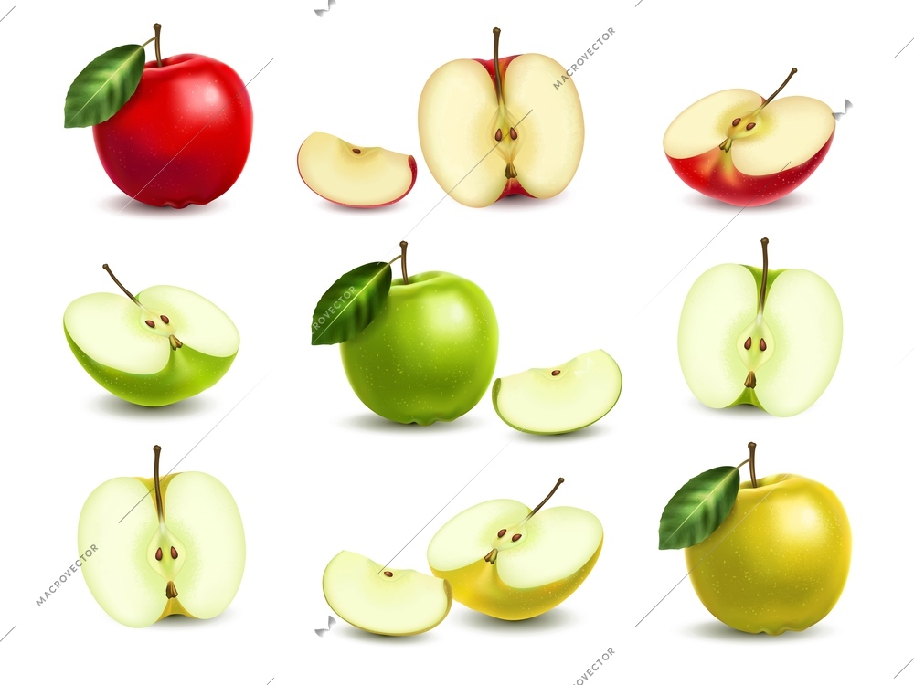 Realistic set of whole and cut different color apples isolated vector illustration