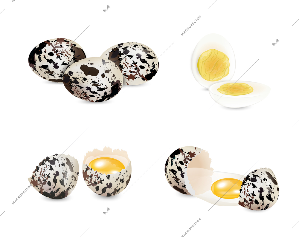 Realistic set of whole and cracked raw and boiled quail eggs isolated on white background vector illustration