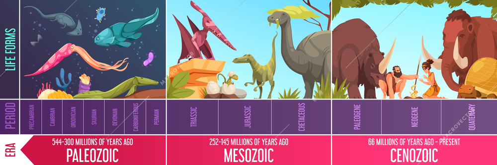 Cartoon infographics with geological scale paleozoic mesozoic and cenozoic eras periods and life forms vector illustration