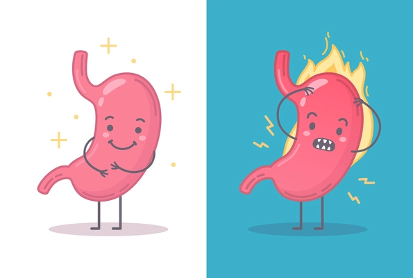 Set with two human organs compositions with cute cartoon style characters of healthy and sick stomach vector illustration
