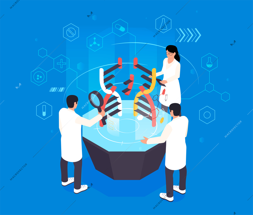 Isometric genetic engineering concept with scientists studying dna vector illustration