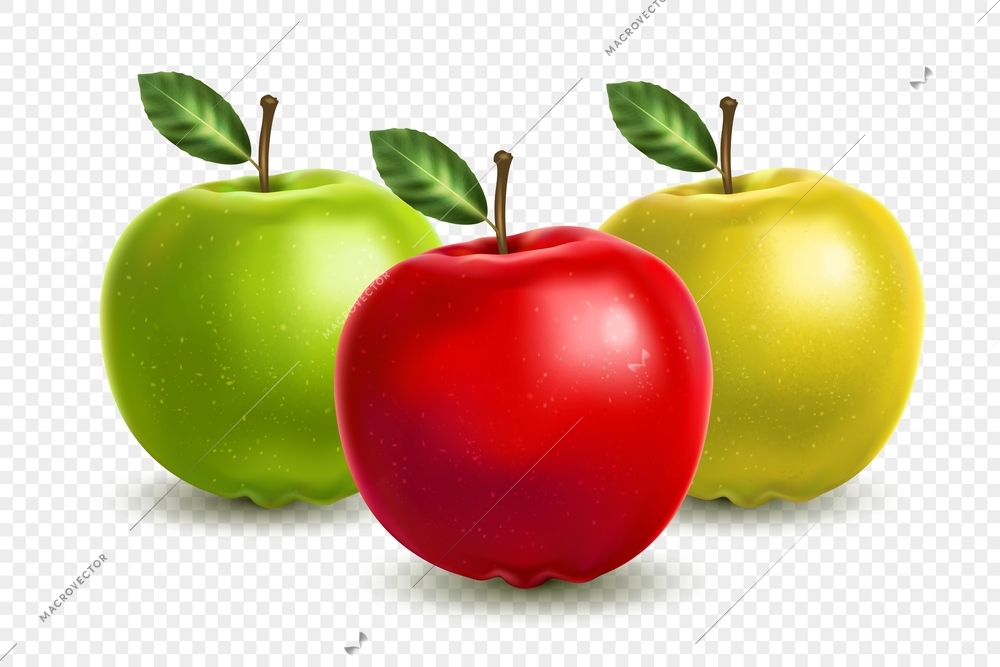 Realistic composition of three whole multicolored apples on transparent background