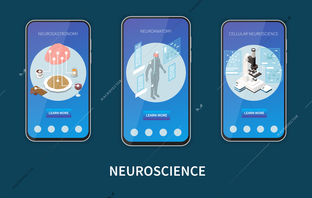 Isometric set of vertical mobile banners with neurogastronomy neuroanatomy cellular neuroscience research isolated 3d vector illustration