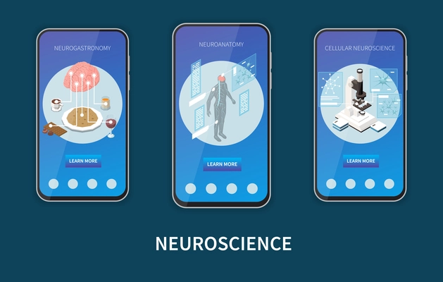 Isometric set of vertical mobile banners with neurogastronomy neuroanatomy cellular neuroscience research isolated 3d vector illustration