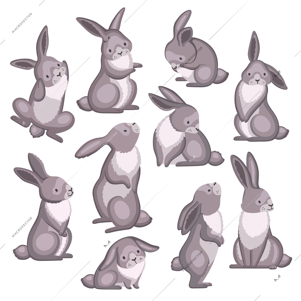 Cute rabbits set of isolated icons with similar grey rabbits in different poses on blank background vector illustration
