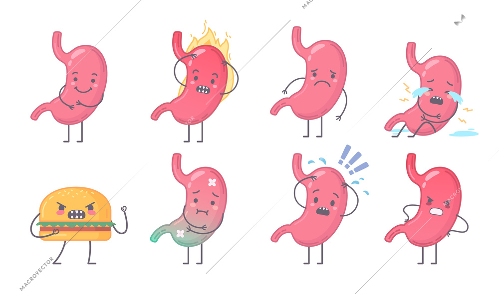 Human organs set of isolated cartoon style characters of healthy and sick stomach with mad burger vector illustration