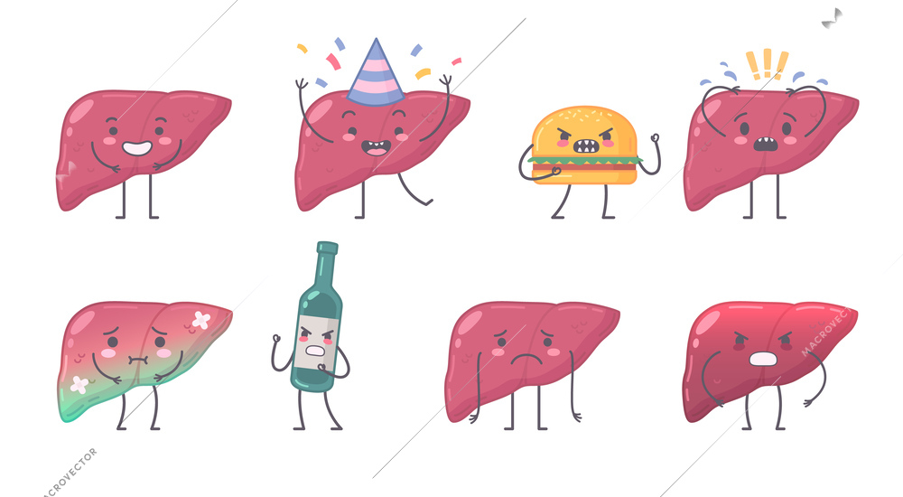 Human organs characters set with isolated icons of liver having sickness mad alcohol bottle and burger vector illustration