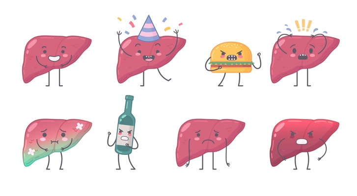 Human organs characters set with isolated icons of liver having sickness mad alcohol bottle and burger vector illustration