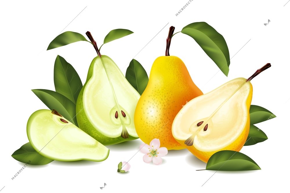 Realistic pear composition fresh juicy fruit with green leaves and sliced in half and quarter vector illustration