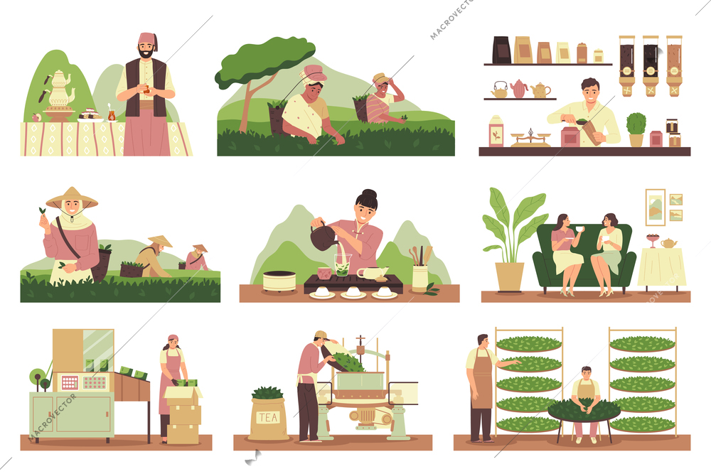 Tea production flat icons set with harvesting sorting and brewing process isolated vector illustration