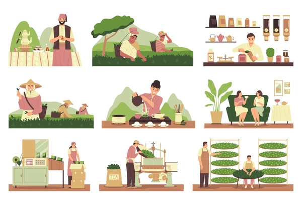 Tea production flat icons set with harvesting sorting and brewing process isolated vector illustration